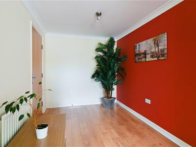 Picture 16